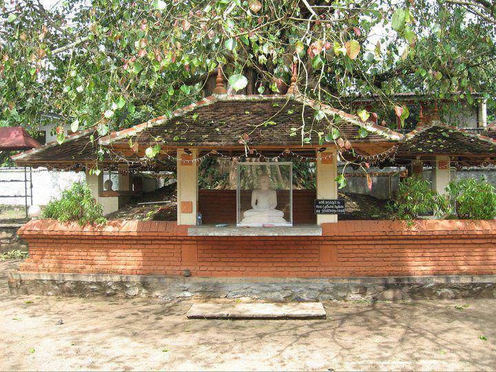Progetto Sri-Lanka