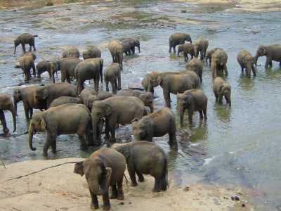 Progetto Sri-Lanka